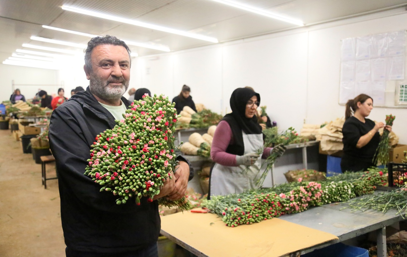 A V R U P A U L K E L E R I N E 12 M I L Y O N D O L A R L I K Y I L 1029985 305598