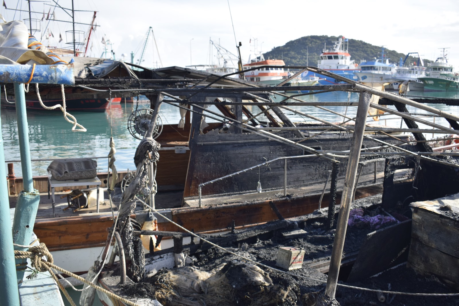 Whatsapp Image 2025 11 30 At 13.20.59