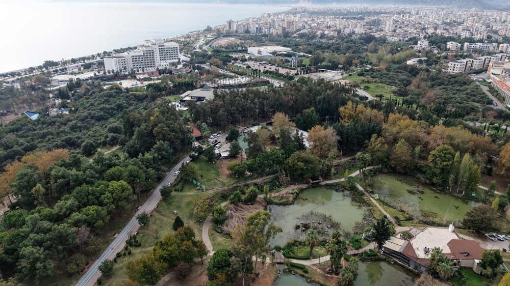 6 M I L Y A R D O L A R L I K A R A Z I D A V A S I N D A Y E N I G 1057525 313848