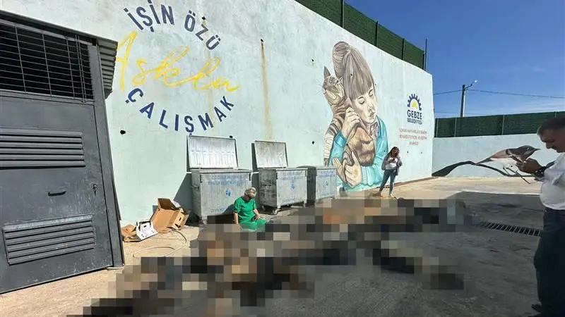 A8F82630 87Da 11Ef 8E7B 0B02D0Ff83E2.Jpg