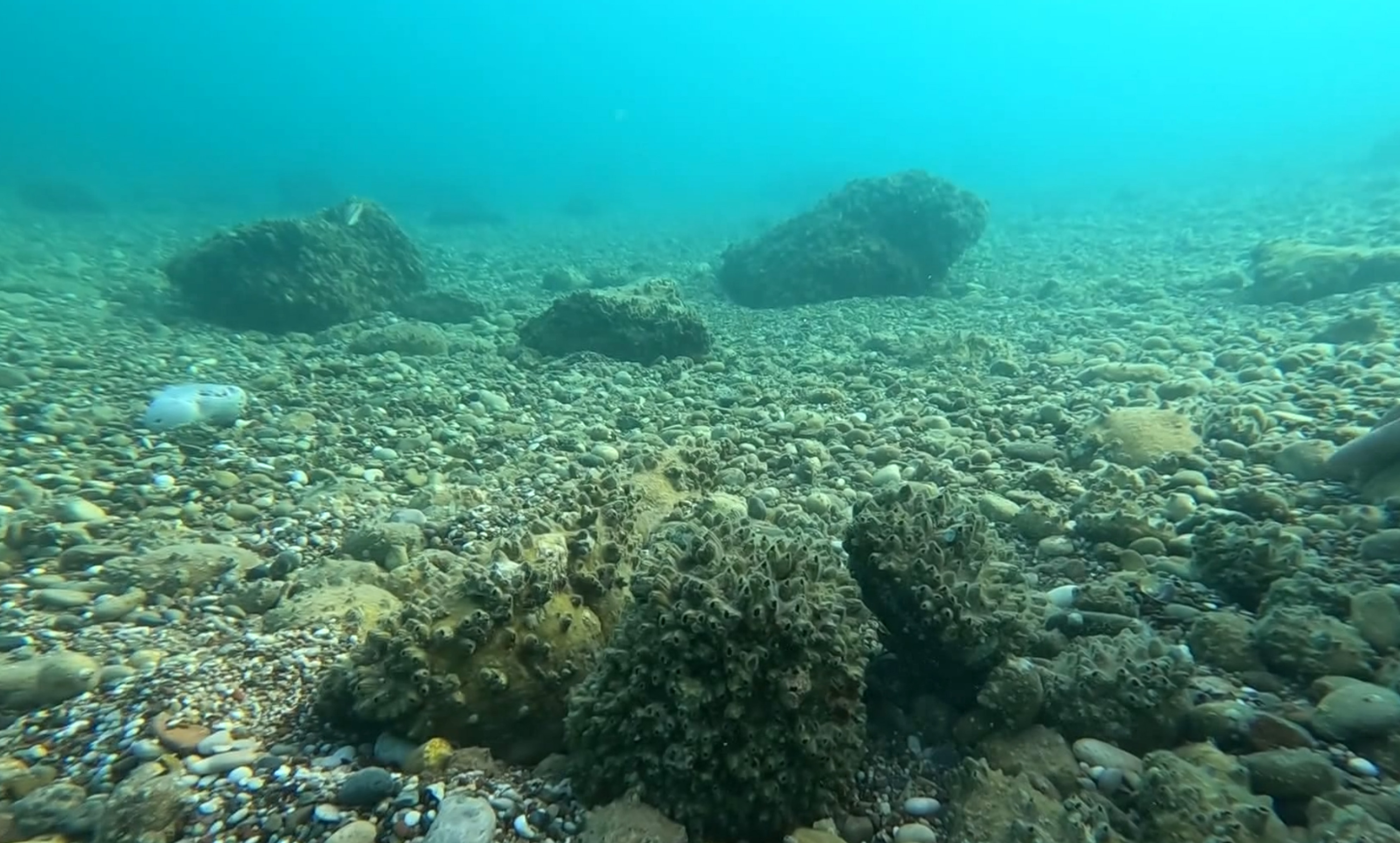 I S T I L A C I I S T I R I D Y E V E M I D Y E L E R Y E R L I D E 1051587 312058