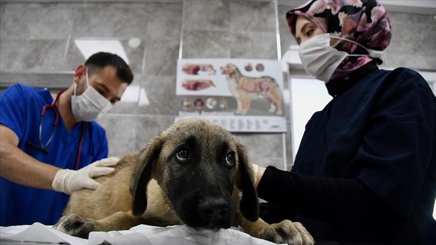 Thumbs B C Db894D49A5A479Bb4Cde23894Cfcc226