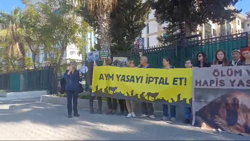 Vlcsnap 2025 12 11 21H37M50S991-1