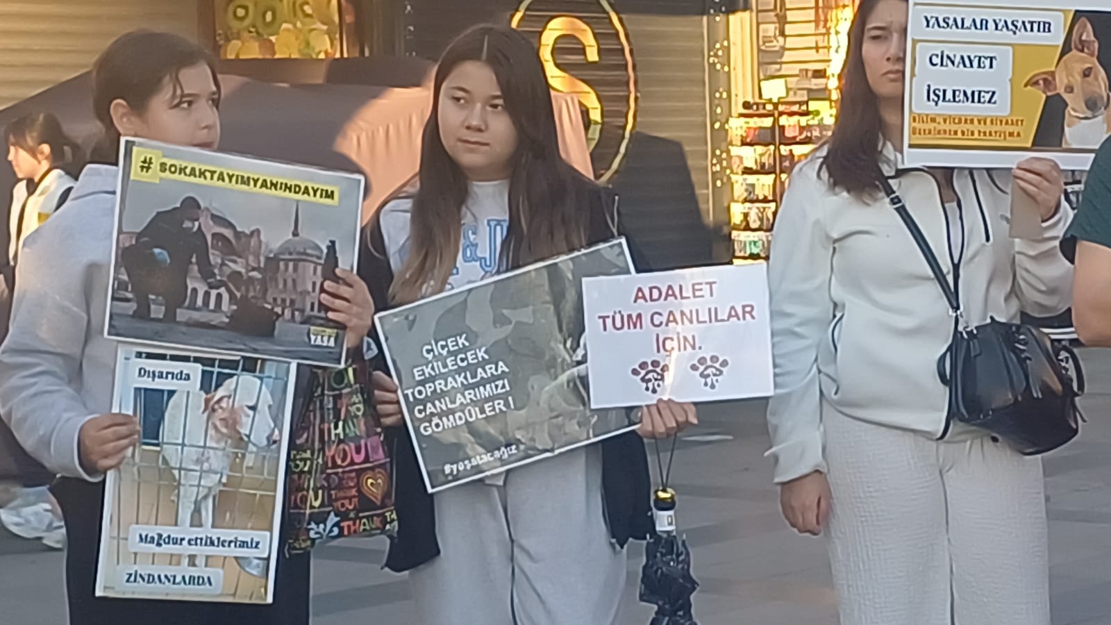 Whatsapp Image 2025 12 07 At 18.36.56 (1)