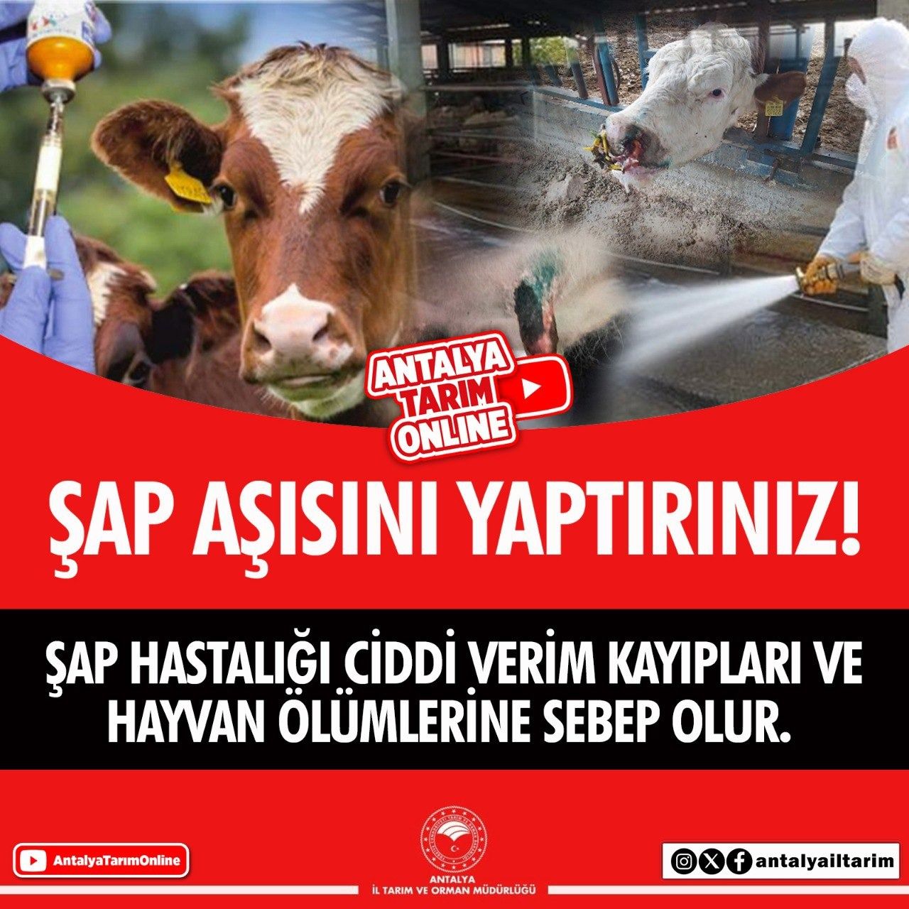 636752779 1391887182969455 8816716920823138865 N