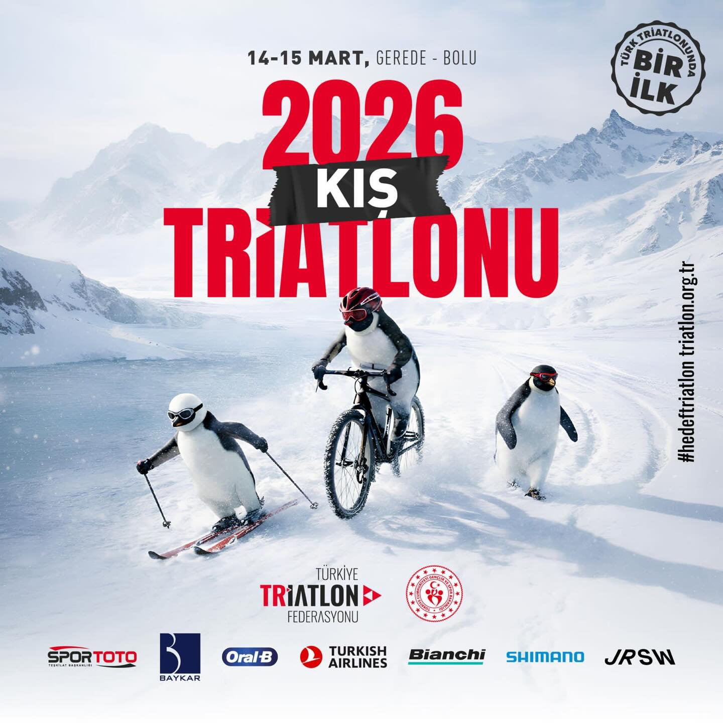 638292977 18388740487146304 2416503792874026638 N