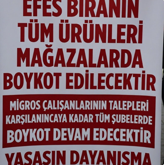 Ekran Görüntüsü 2026 02 01 114015