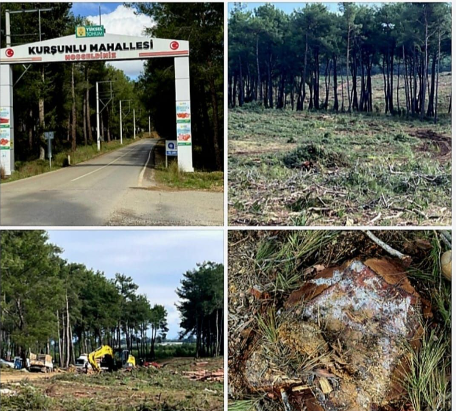 Ekran Görüntüsü 2026 02 16 134005