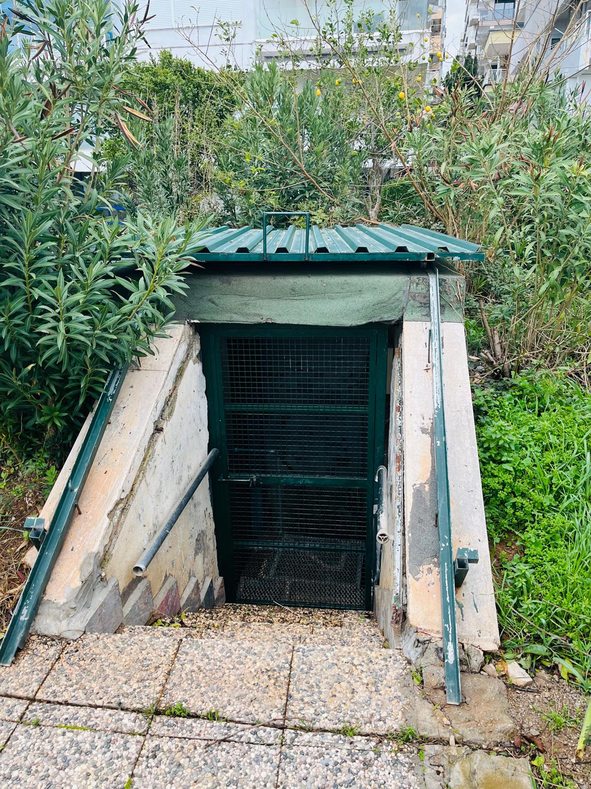 F A L E Z L E R D E K I K A C A K B A R A K A V E A S A N S O R U M U 1175892 349302