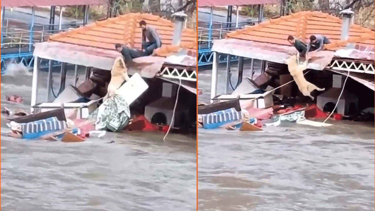 Çatıdan uzanan eller hayat kurtardı