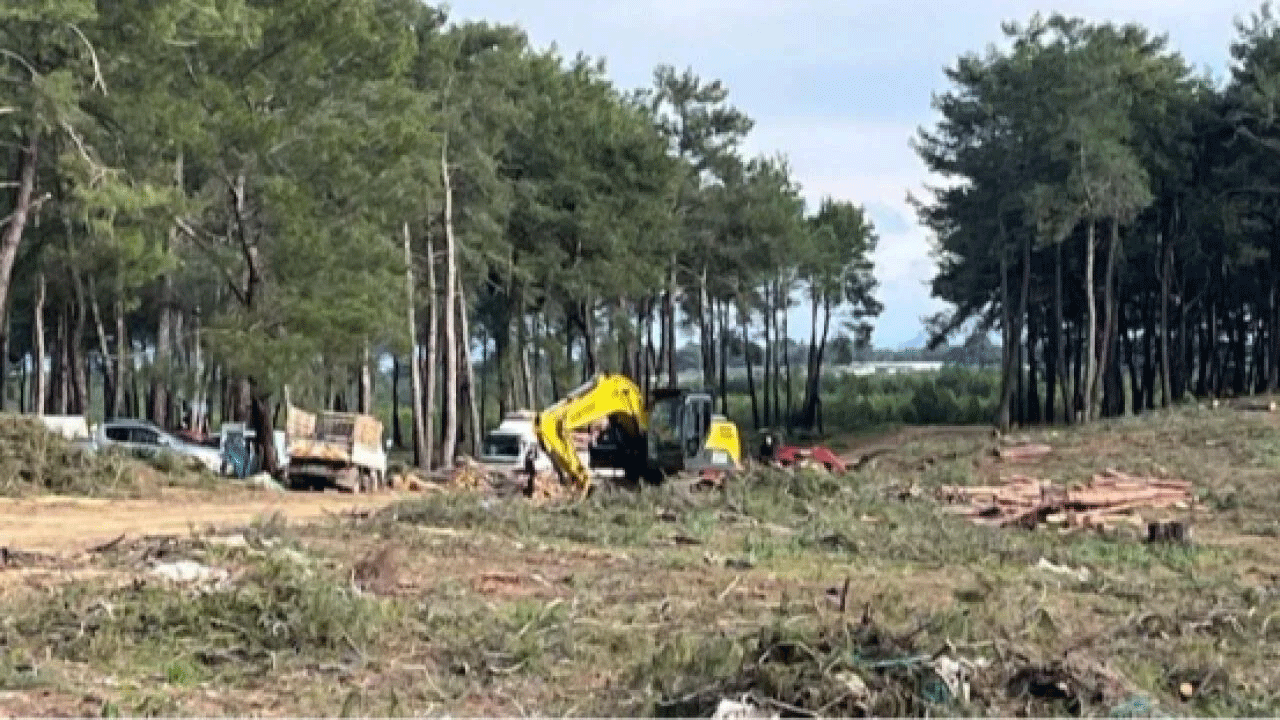 Kurşunlu Ormanı için Aksu Kent Konseyi'nden açıklama