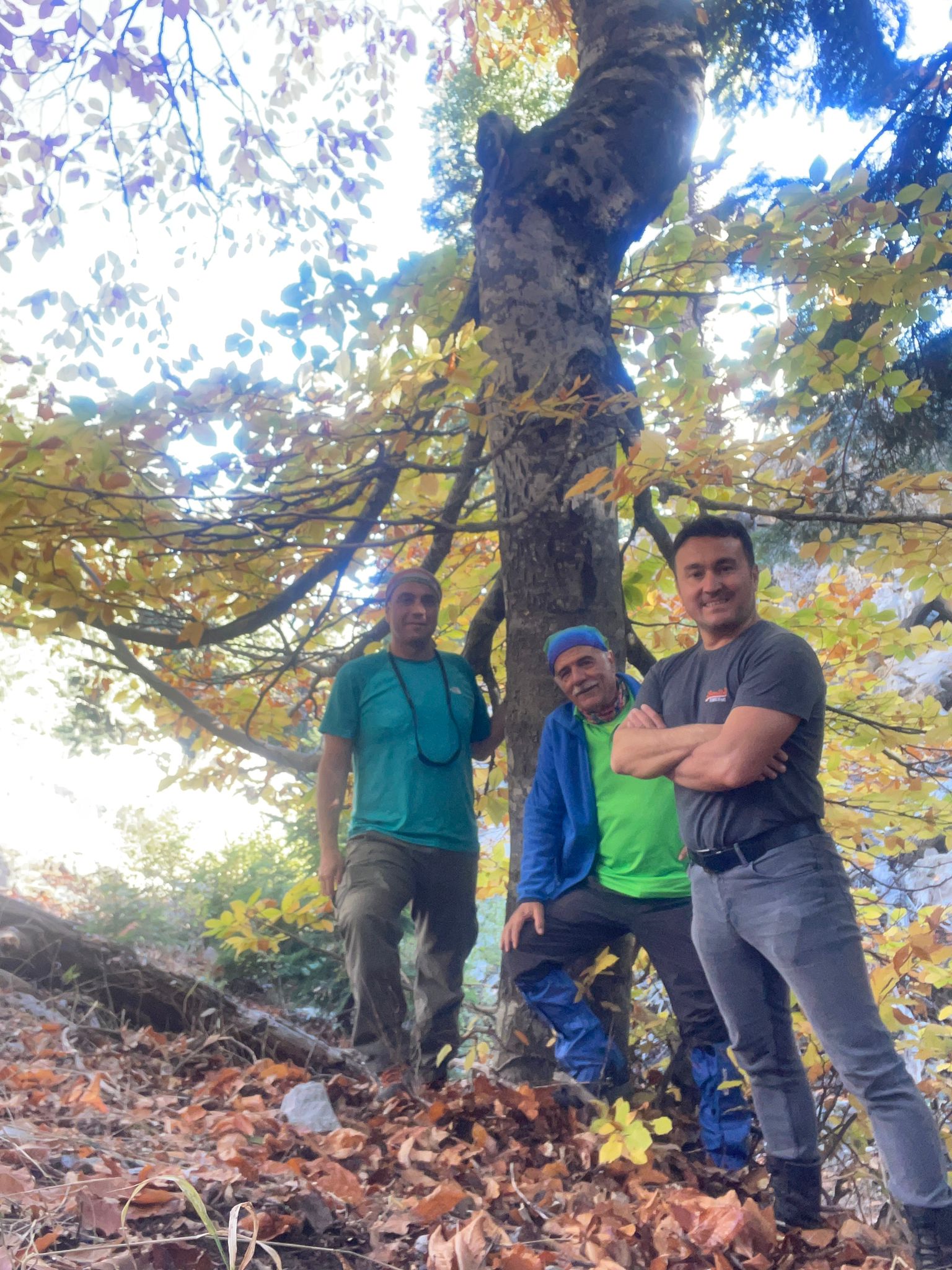 Whatsapp Image 2026 02 04 At 20.35.12