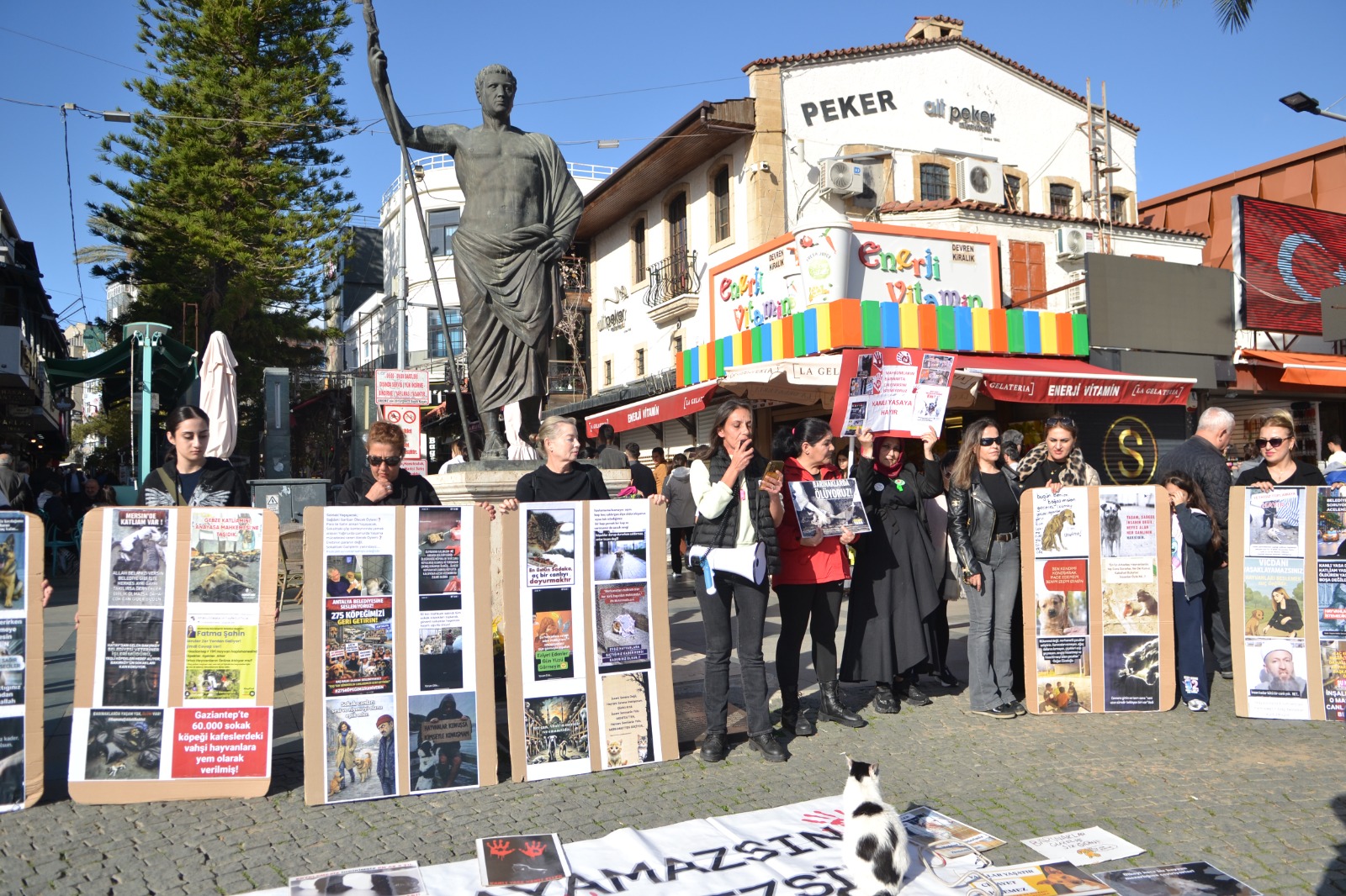 Whatsapp Image 2026 02 15 At 17.01.36