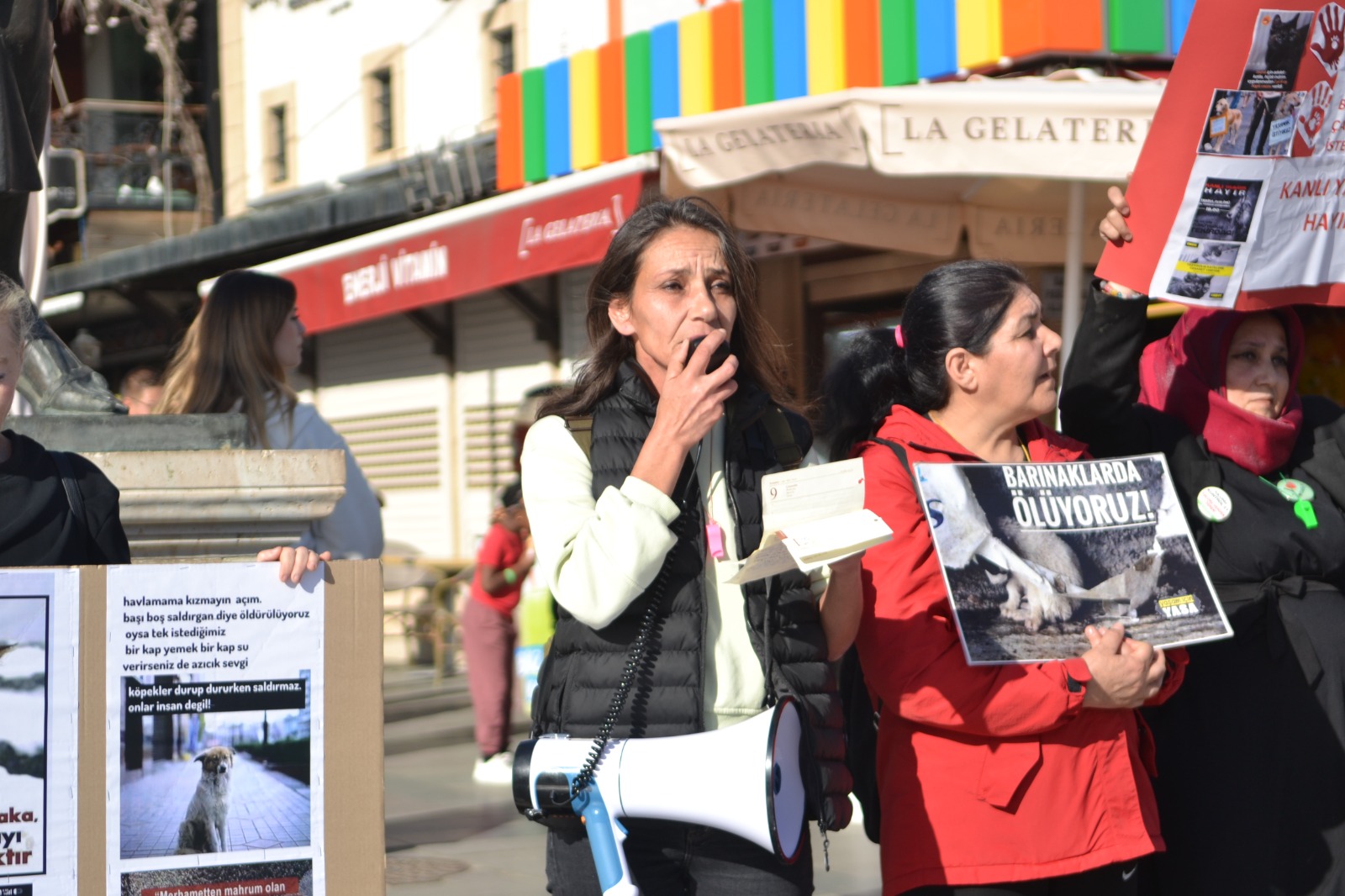 Whatsapp Image 2026 02 15 At 17.01.50