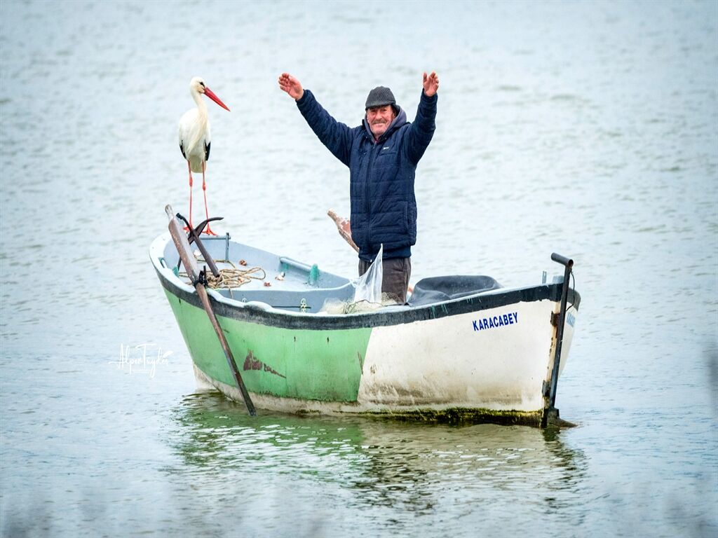 Y A R E N L E Y L E G I N E S I N A Z L I G E L D I 1183935 351720