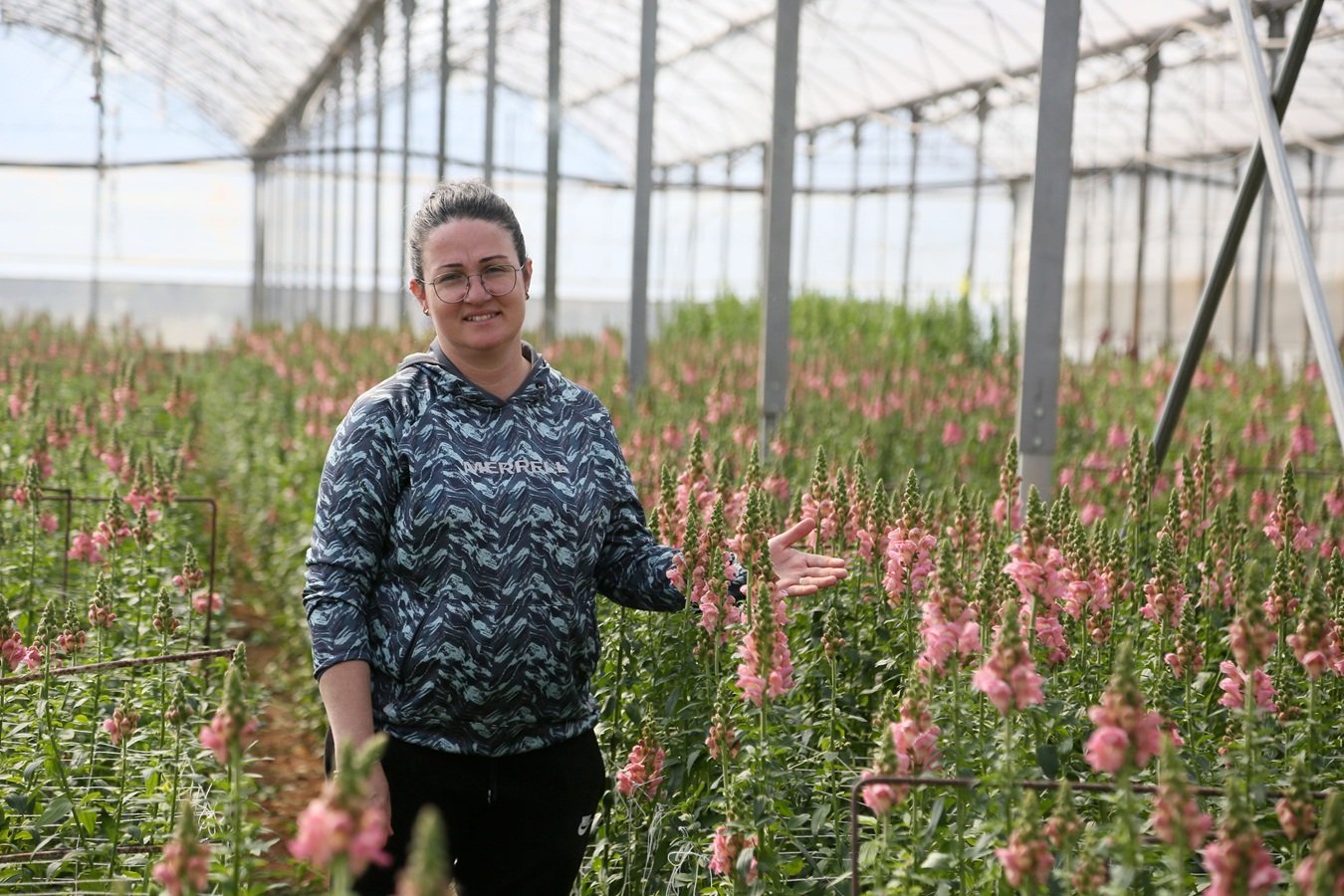 Antalya’da çiçekte yeni rota: Aslanağzı ihracata başladı