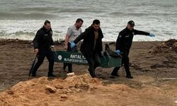 Antalya sahillerinde son 5 günde 6 ceset bulundu: Antalya Valiliği'nden açıklama geldi!