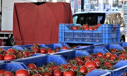 Gıda enflasyonunda yükseliş devam ediyor: Domates fiyatlarında rekor artış