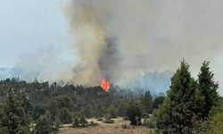 Antalya'da ormanlık alanda çıkan yangın korkuttu