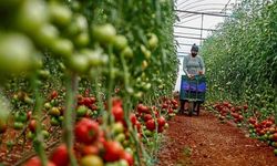Antalya'ya tarımsal kalkınma hibesi