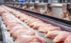 CHP'den Ticaret Bakanlığının tavuk eti ihracatına getirdiği sınırlamaya tepki