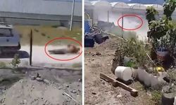 Antalya'da dehşet...Köpeğine zarar veren adamı 150 metre sürükledi