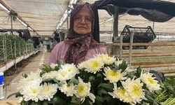 Çiçek üreticileri Anneler Günü'ne hazırlanıyor