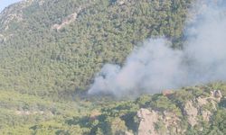 Antalya’daki orman yangını: 0.2 hektarlık alan zarar gördü