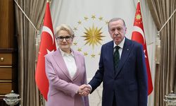 İYİ Parti'den açıklama: Erdoğan ile Akşener neyi görüştü?