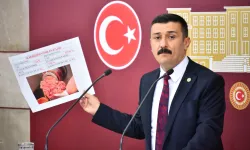 Üretici çiftçinin sesini TBMM'ye taşıdı