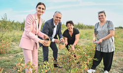 "Çiftçiye ihracat ajansı şart"