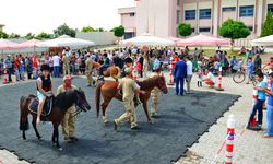 Antalya Hipodromu'nda yarışlar başlıyor