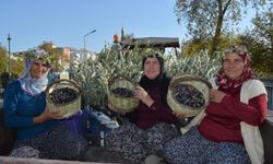 Manavgat'ta Zeytin ve Zeytinyağı Festivali