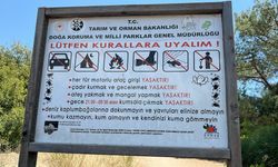 Mekanın sahibi geldi,  gece buraya girmenin bedeli ağır