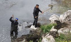Eğirdir Gölü'nde balıkçılık mücadesi