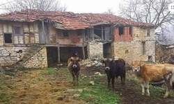 Bu bayram çalışanların çoğunluğu nerede olacak?