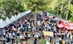 Dumanlı kokulu gürültülü festivallere tepki
