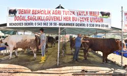 Kepez’de kurban pazarı 2 noktada hizmette