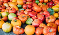 Antalya'nın organik tarım karnesi nasıl?