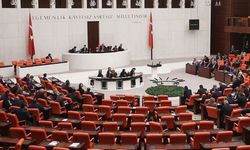 Zeytinliklerin, ormanların madenciliğe açılmasına 'tamam' dediler
