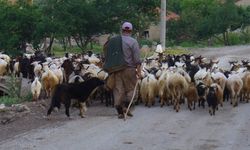 Heybe nakışına 1 milyonluk ceza!