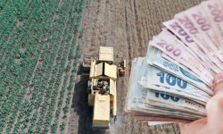 ANSİAD: Türk tarımı  fırsat yakaladı