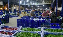 Antalya hallerinde Şubat tablosu: Miktar düştü, fiyat yükseldi