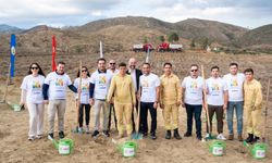 Küllerinden bal doğan köyler: Muğla’da 8,3 Hektarlık Direnç Ormanı