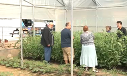 Topraktan gelen şifa: Akdeniz Üniversitesi’nde hastalar üretiyor