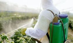 Mahkeme: Pestisit denetimlerini açıklamak zorundasın