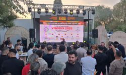 Miksolojide nefes nefese mücadele