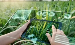 Türkiye tarımsal AR-GE’de çakıldı: 24 yılda oran 4 kat geriledi