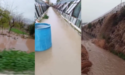 Çiftçi selin altında kaldı: “Tüccarlar, halciler buraya gelin!”