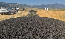 Arıtma çamurları ruhsatsız araziye döküldü: ÇMO’dan uyarı ve çağrı